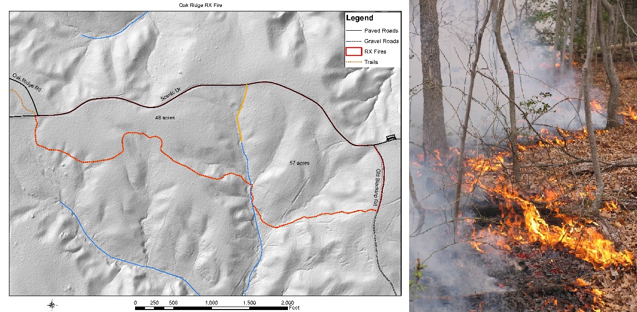 Collage of map of prescribed fire area with red outline of fire area following Oak Ridge Trail, Scenic Drive, and Old Blacktop Road and fire creeping among leaves in a forest