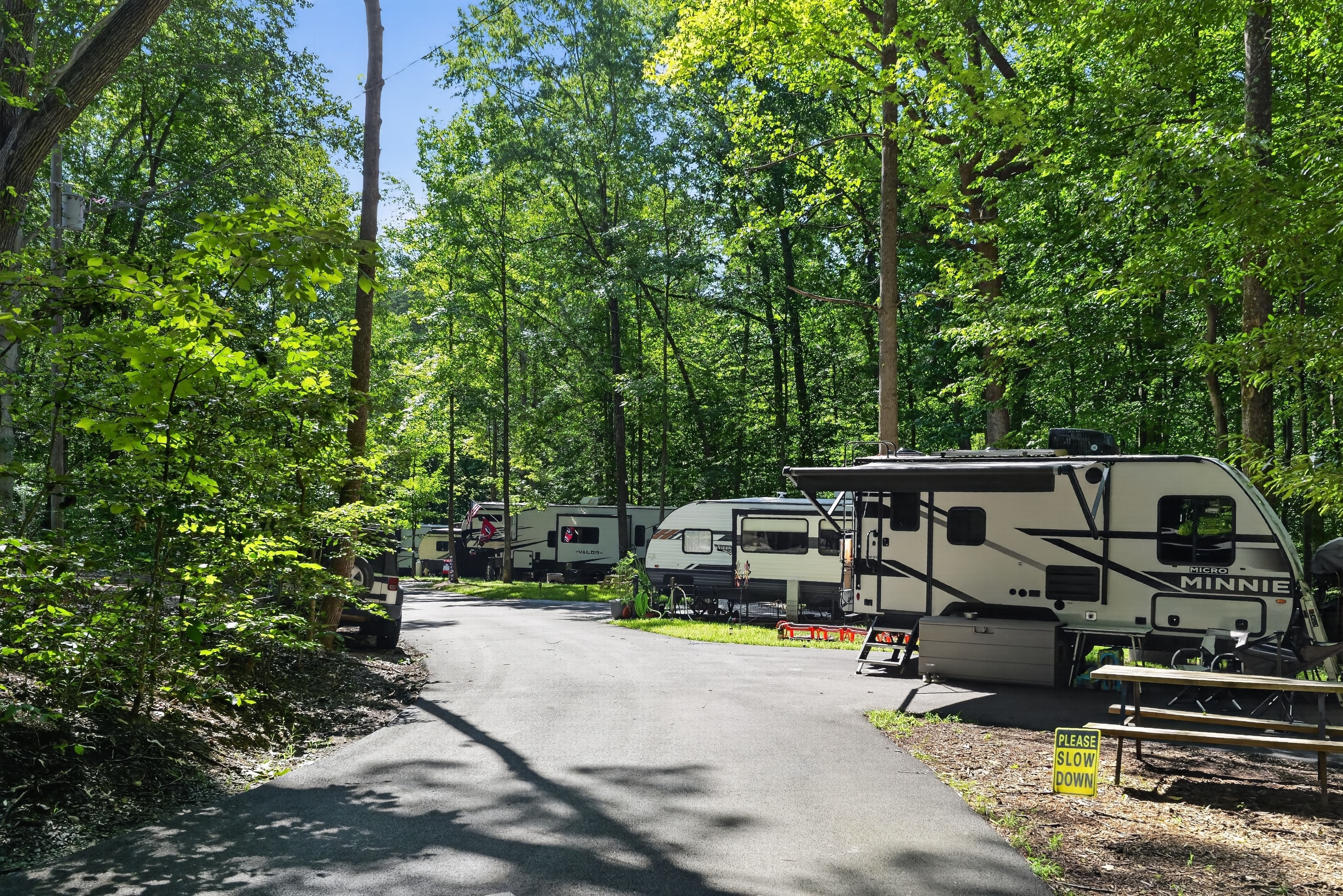 Row of 4 RVs parked on paved parking pads near a paved road in the green forest