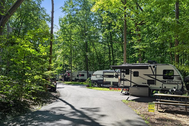 Campers on paved pads shaded by a green forest