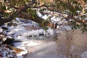 A small, frozen cascade on the South Fork Quantico Creek.