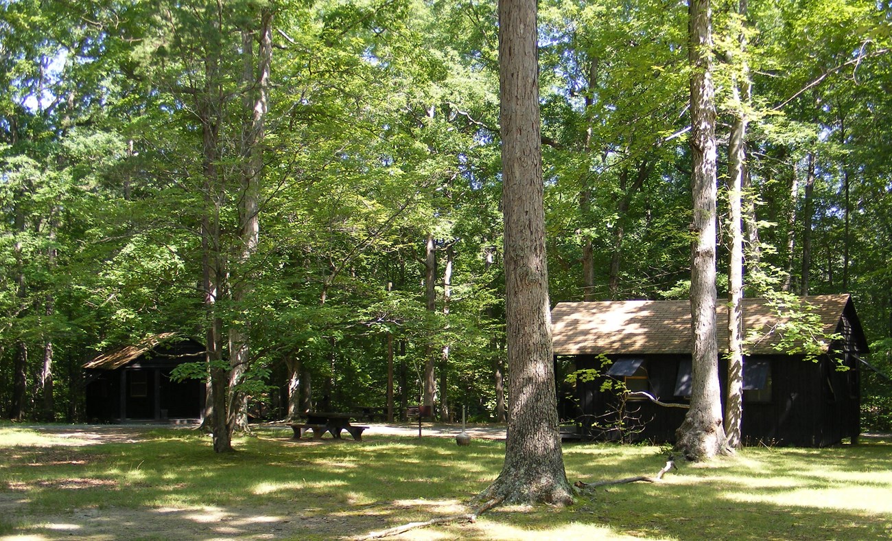 2 wooden cabins, a picnic table and charcoal grill shaded by a green forest