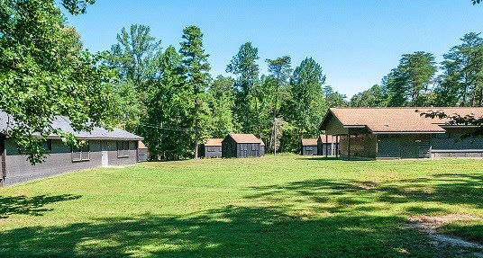 Brown wooden cabins in a field of grass on a sunny day at the edge of a green forest