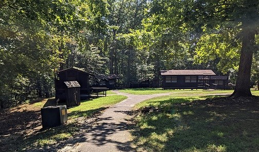 Paved path through the grass leading to small wooden cabins with windows at the edge of a forest