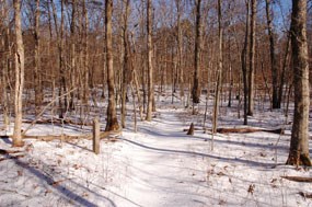 Farms to Forest Trail in the winter
