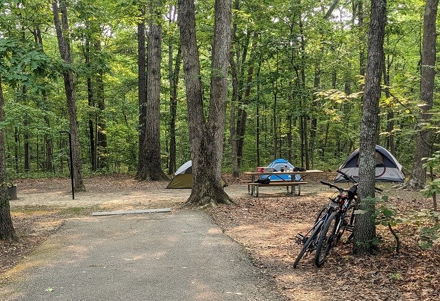 Three tents, a picnic table and two bike near a paved parking spot in a campsite in the forest