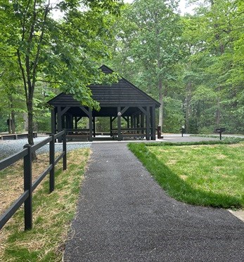 Paved walkway leads to an open sided picnic pavilion shaded by the forest