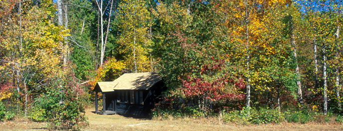 Cabin surrounded by trees with yellow and orange leaves in fall