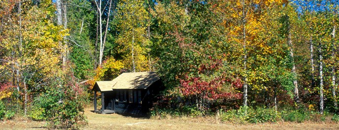 Cabin surrounded by trees with yellow and orange leaves in fall