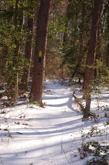 Farms To Forest Trail in the snowy winter.