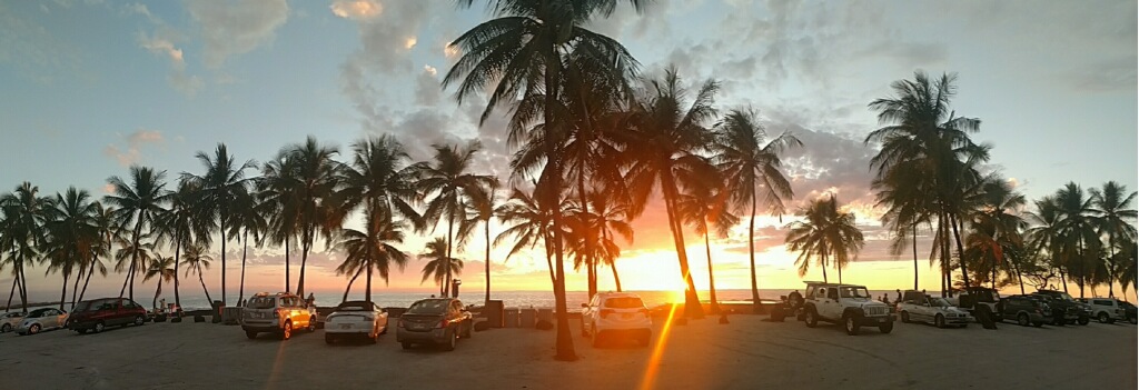 Sunset viewed from the Picnic Area through coconut trees and parked cars