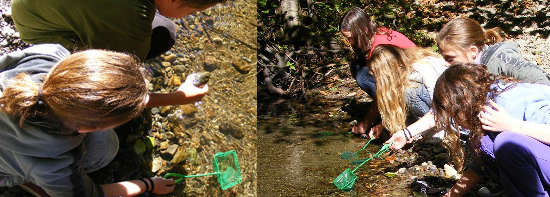 Students using dip nets in Prairie Creek