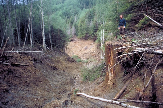 A man stands on the right bank of a landslide.