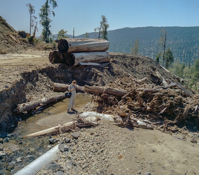 A man stands in an eroded road surround by dirt and tree debris.