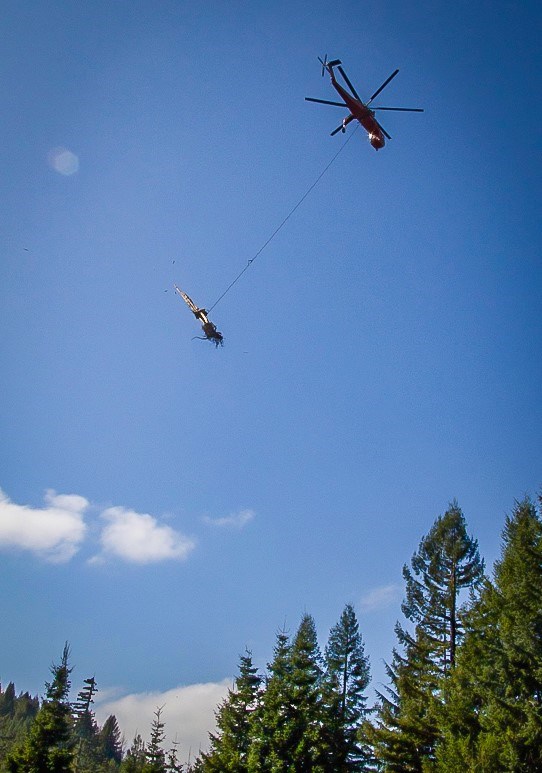 A helicopter carries a large tree trunk over the forest.