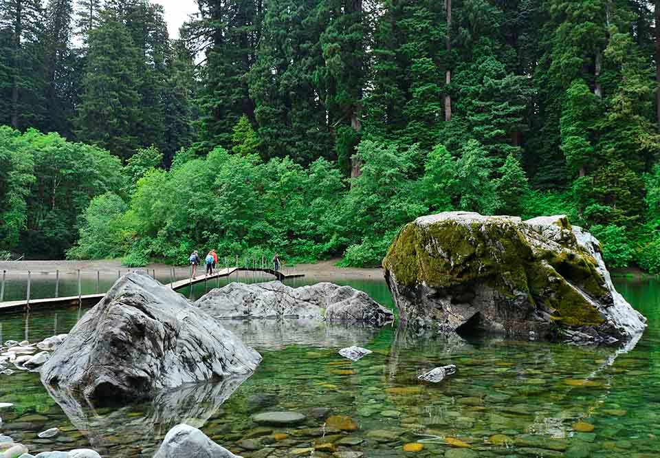 Escape to Enchantment: Your Redwood River Retreat Awaits!