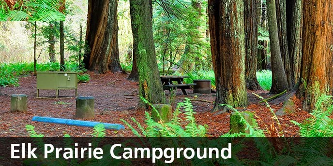 Elk_Prairie_Campground