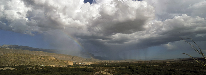 Desert Thunderstorm
