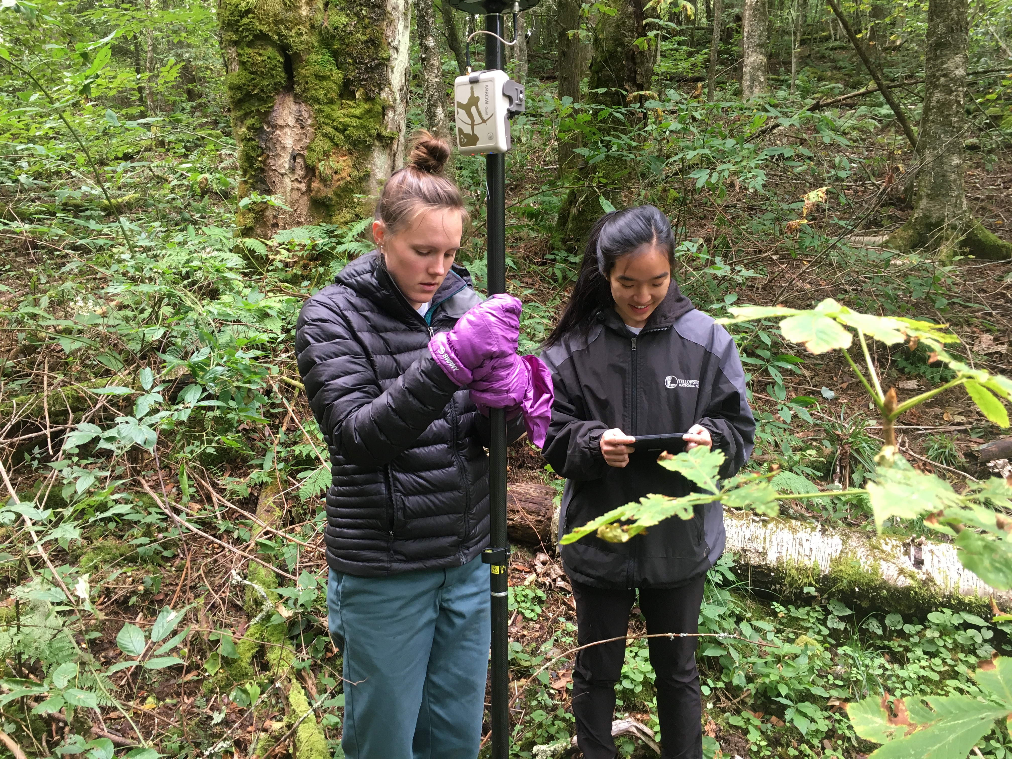 Two field technicians use a field tablet and GPS to map a wetland in Great Smoky Mountains National Park.