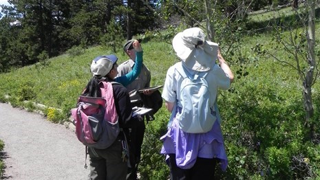 Become a citizen scientist today and collect data while walking around Lily Lake.