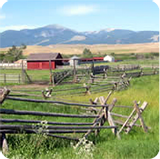 Wooden cattle fences stand in a pasture with a red bard in background.