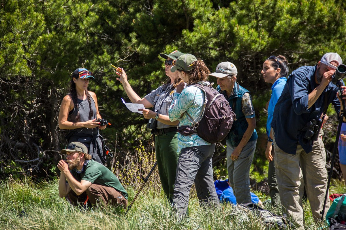 Park ranger explains survey form while surrounded by citizen scientists.