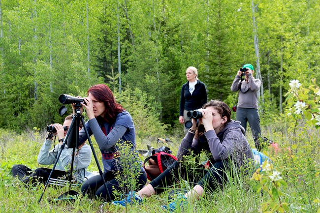 Students in a forest clearing sit in the brush looking through binoculars and scopes.