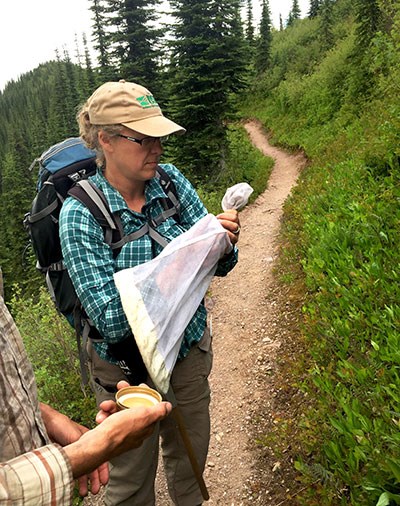 Graves stands in the middle of a trail holding an insect net in one hand, while the other reaches into the net.