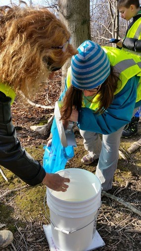 Two women collect a sap sample while a young citizen scientist determines the sap's sugar content.