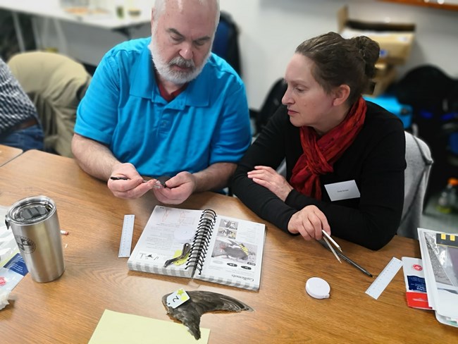 Two people sit at a table and inspect small items with an open bird guide book in front of them.