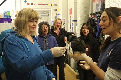 Uniformed employee holds a black bird; four other people stand around the bird and one holds out a gloved hand to feed it.