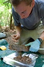Scientist conducting research in Congaree National Park