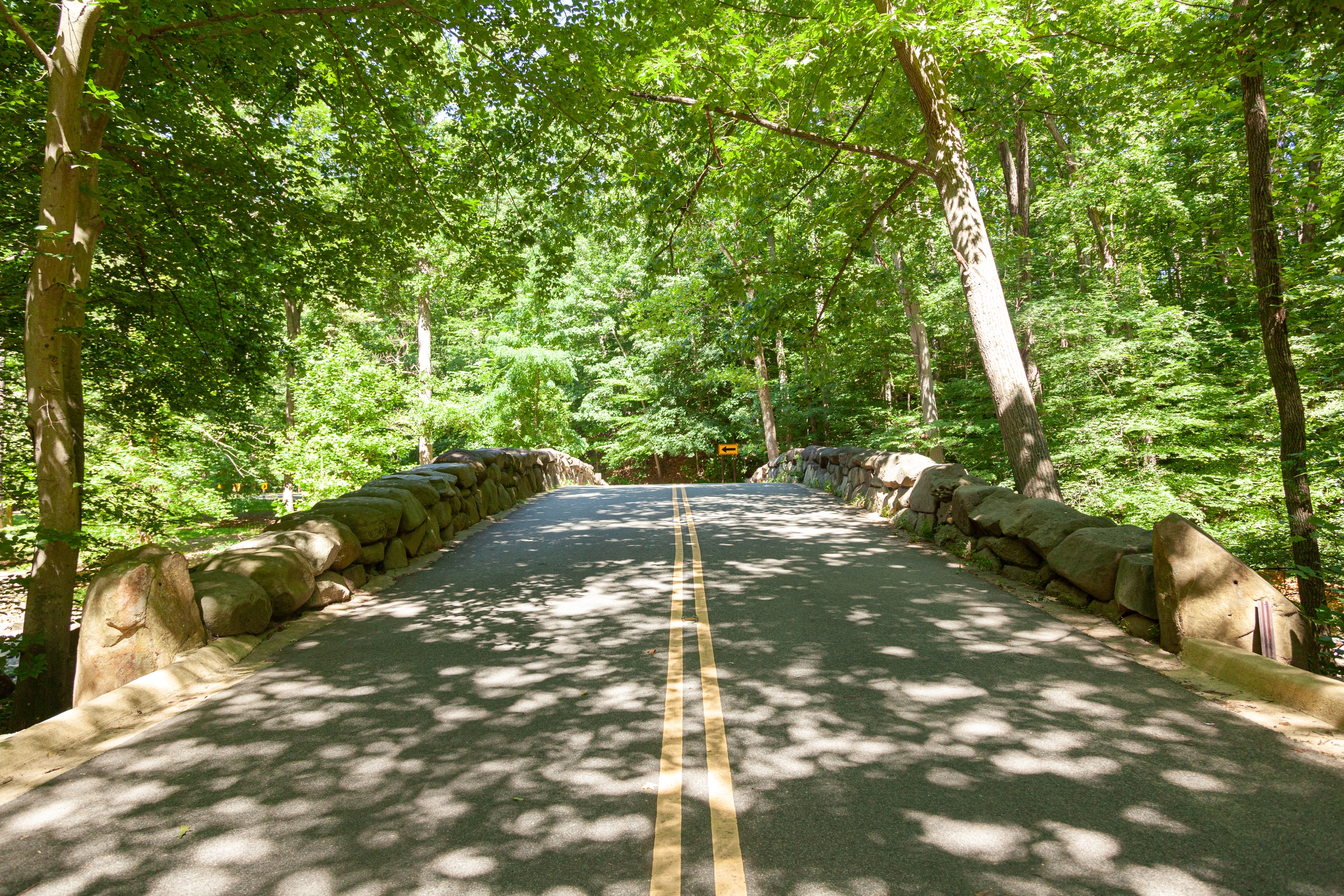 A two-lane road through a lush green forest