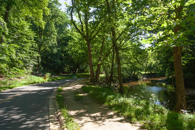 a road and walking path wind alongside a creek in the forest