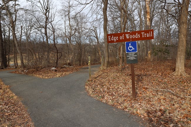 An asphalt trail in a wooded area labled with a trail sign forks in two directions.