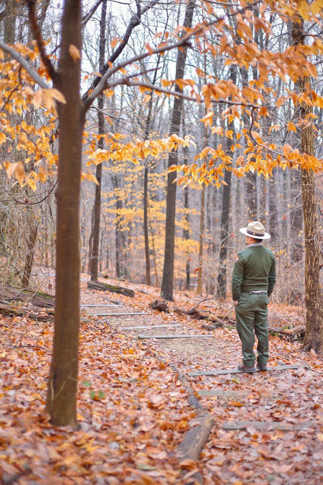 A park ranger hikes with autumn leaves around.