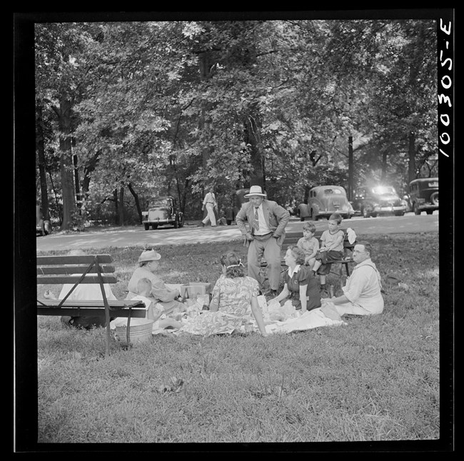 historic image of a large family group having a picnic in the park