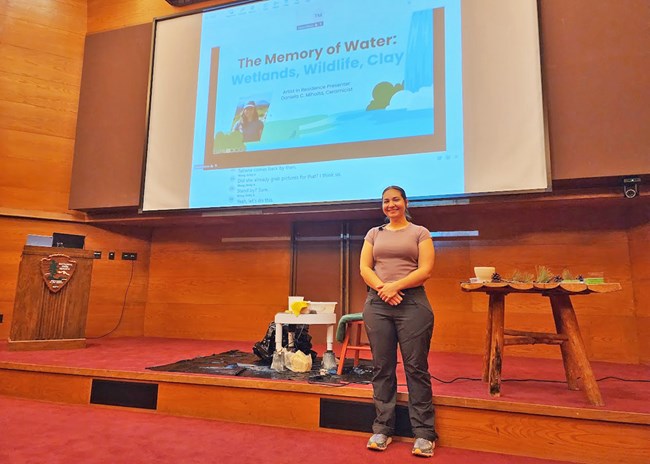 Daniela Mihaita is standing at the front of the room, under a large screen.