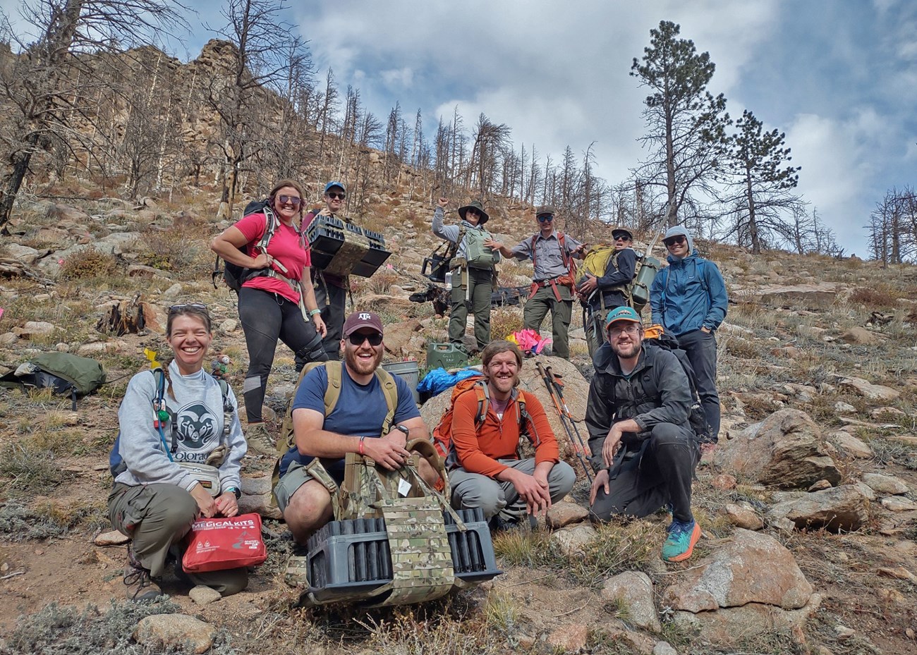 A group of volunteers and NPS staff plant limber pine seedlings