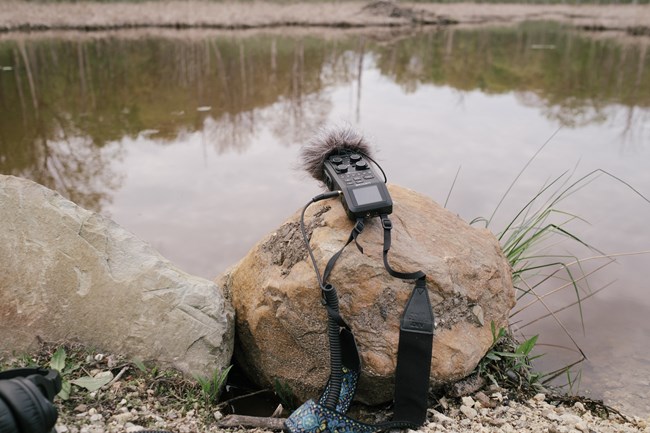 Why Soundscapes Matter_Kite Davenport