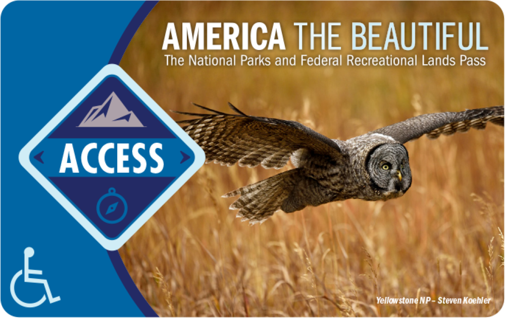 View of the 2023 NPS Access Pass, a owl is flying over a field