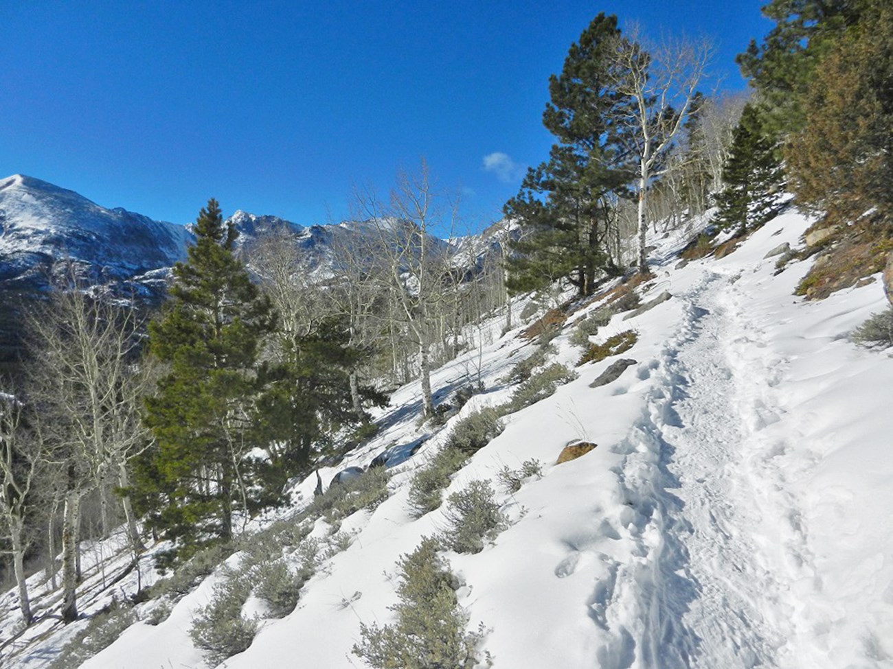 A section of the Bierstadt Trail is steep and covered with snow