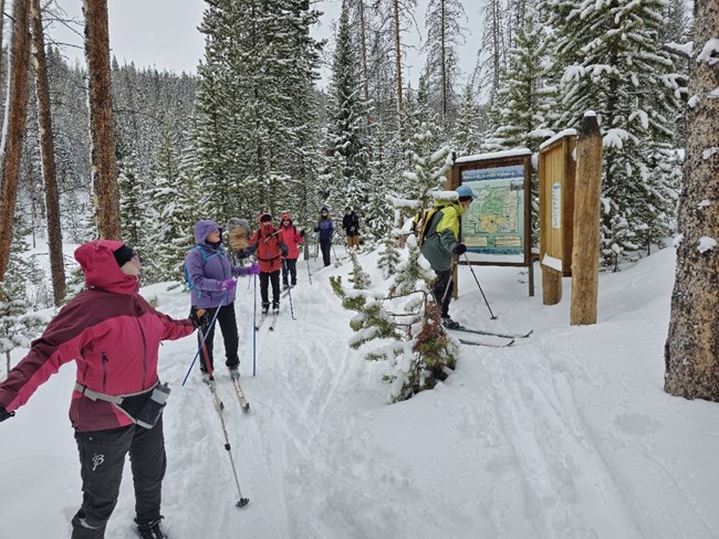 Ranger-led Cross Country Ski Tour in the Kawuneeche Valley