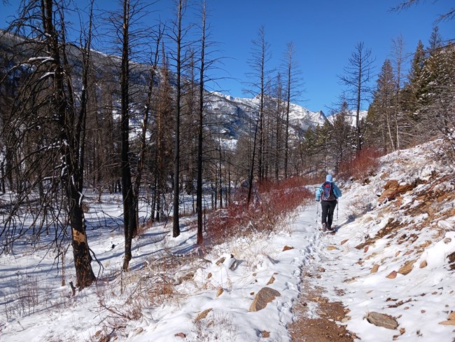 Fern Lake Trail in winter