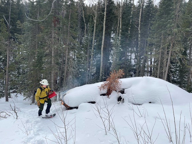 An NPS firefighter is standing next to a burn pile with a torch, about to light it. The pile is covered with snow.