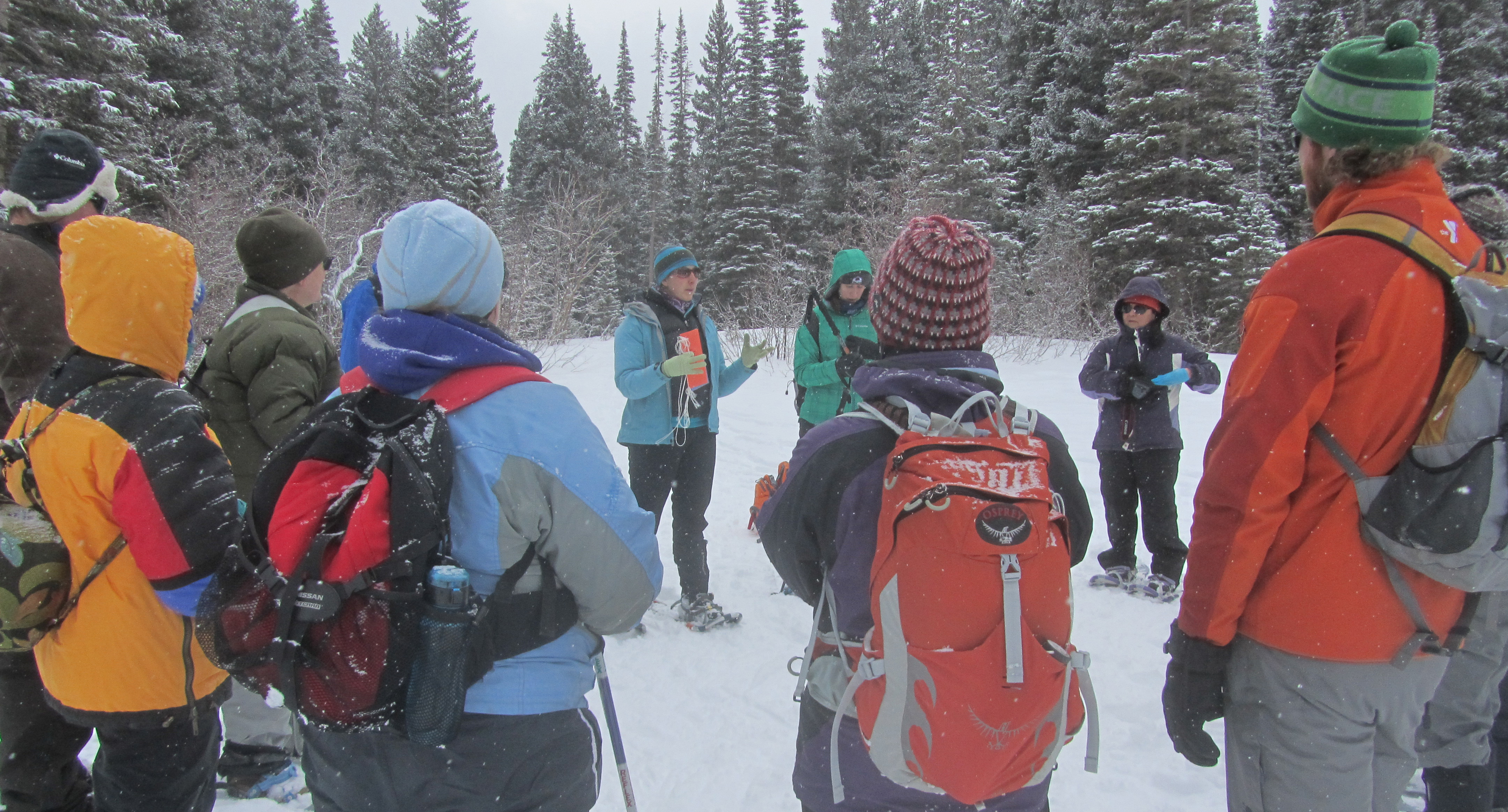 teacher workshop life in the cold rocky mountain national park