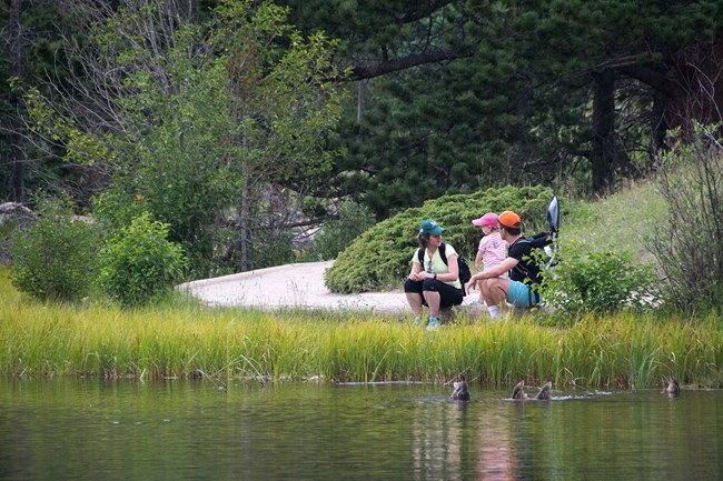 Two adults and a child kneel by a lake alongside grasses and trees.