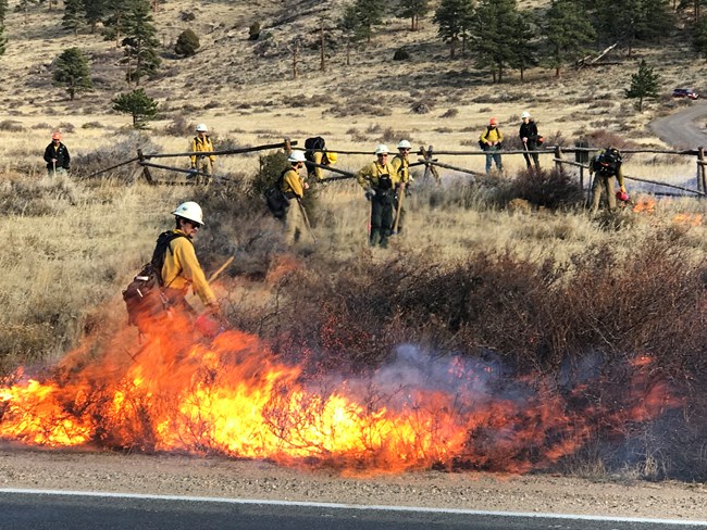 firefighters conducting a prescribed burn