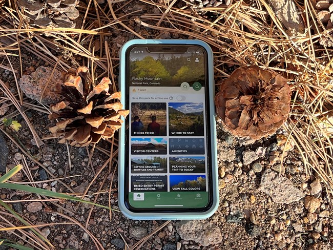 NPS App home screen on phone with pinecones on the ground next to a smart phone