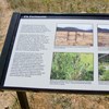 An elk information panel about fences in the park.