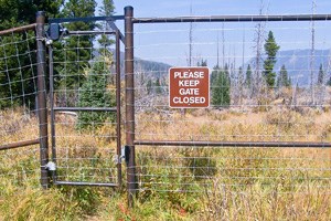 Gate on an elk exclosure fence